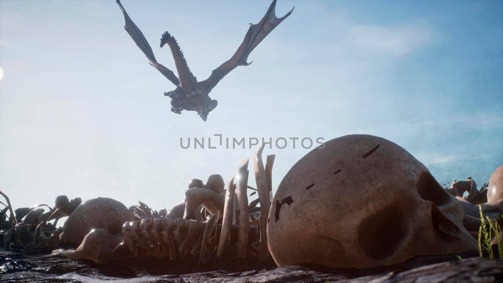 Large dragons fly over the battlefield with human bones lying on it. 3D Rendering by designprojects