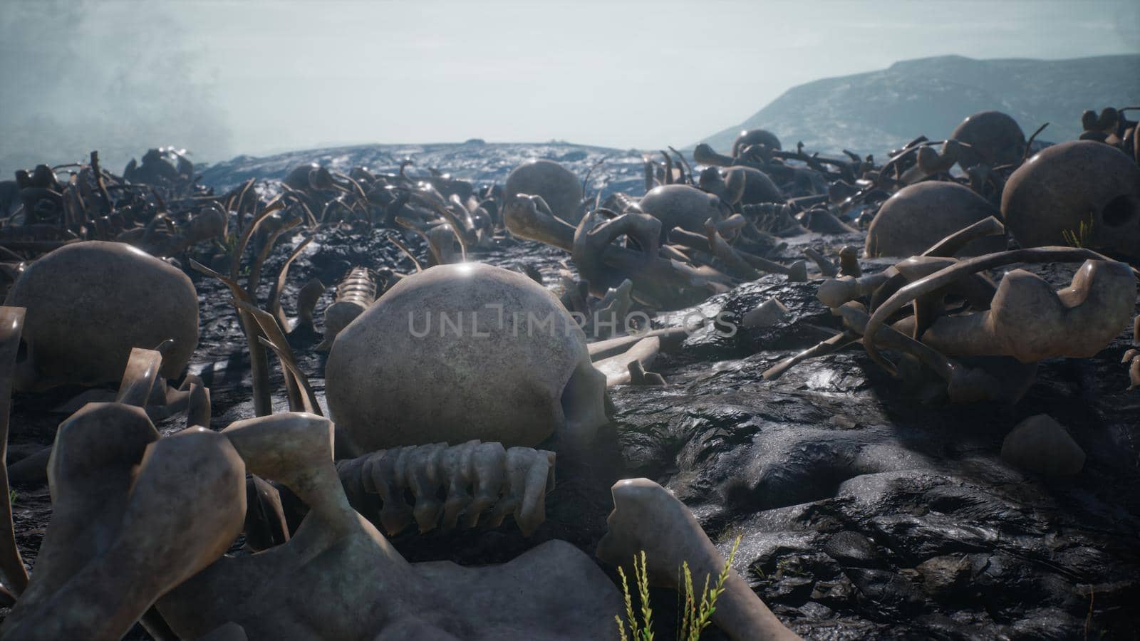Old human skulls and bones left over from the battle. The concept of war and the Apocalypse. 3D Rendering by designprojects