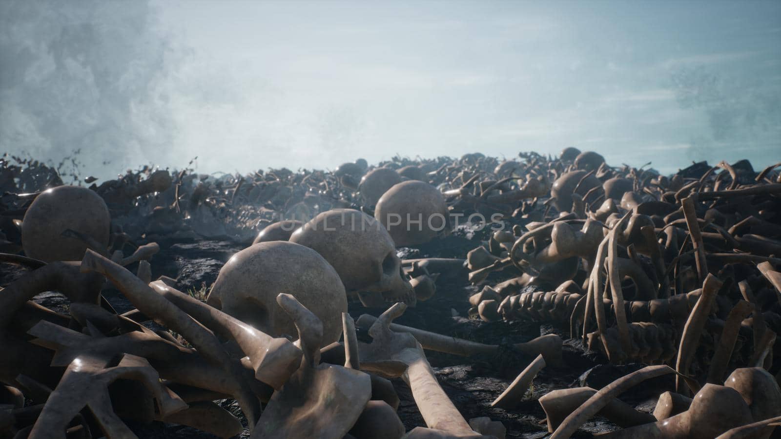 Old human skulls and bones left over from the battle. The concept of war and the Apocalypse.