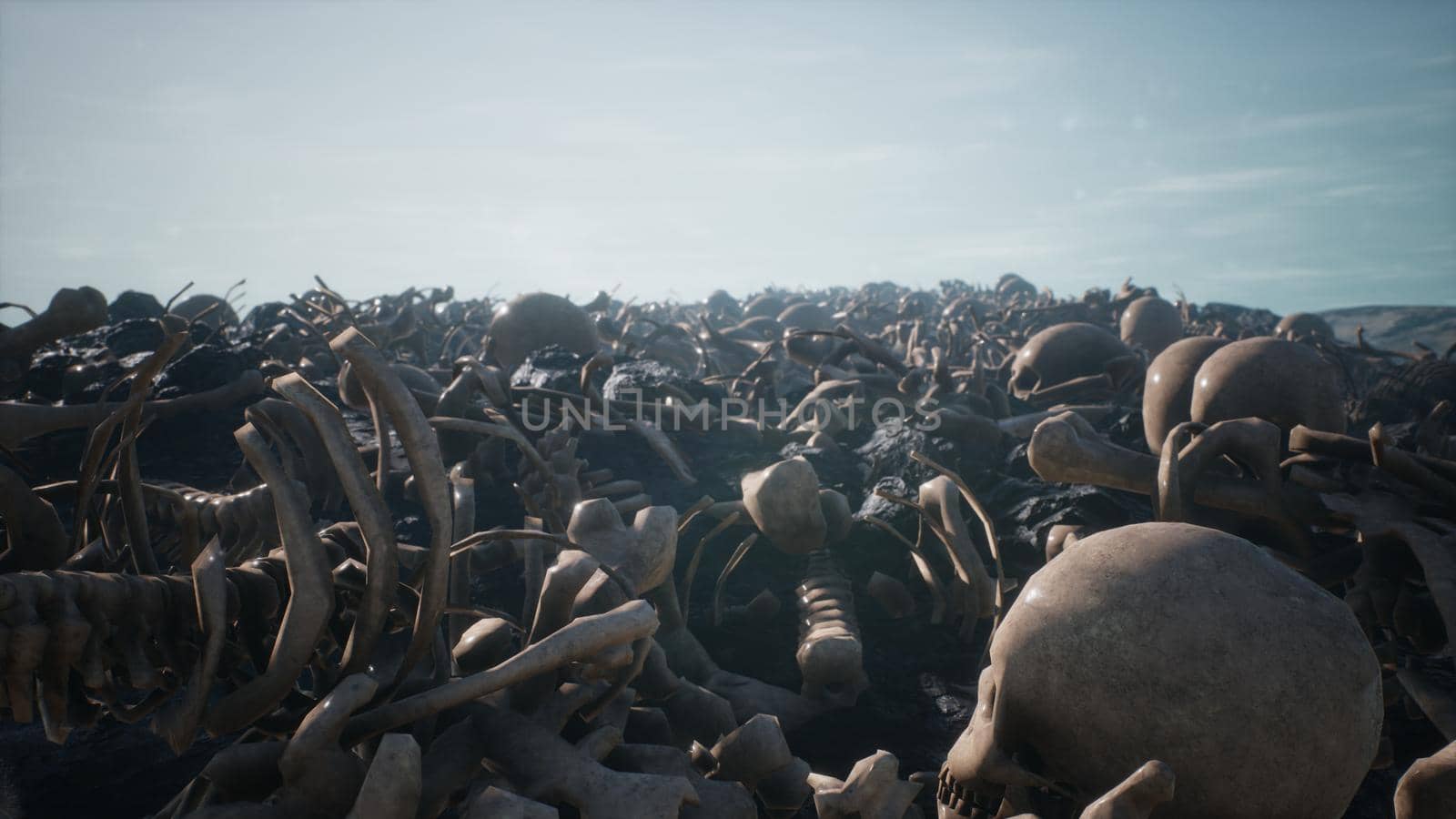 Old human skulls and bones left over from the battle. The concept of war and the Apocalypse.