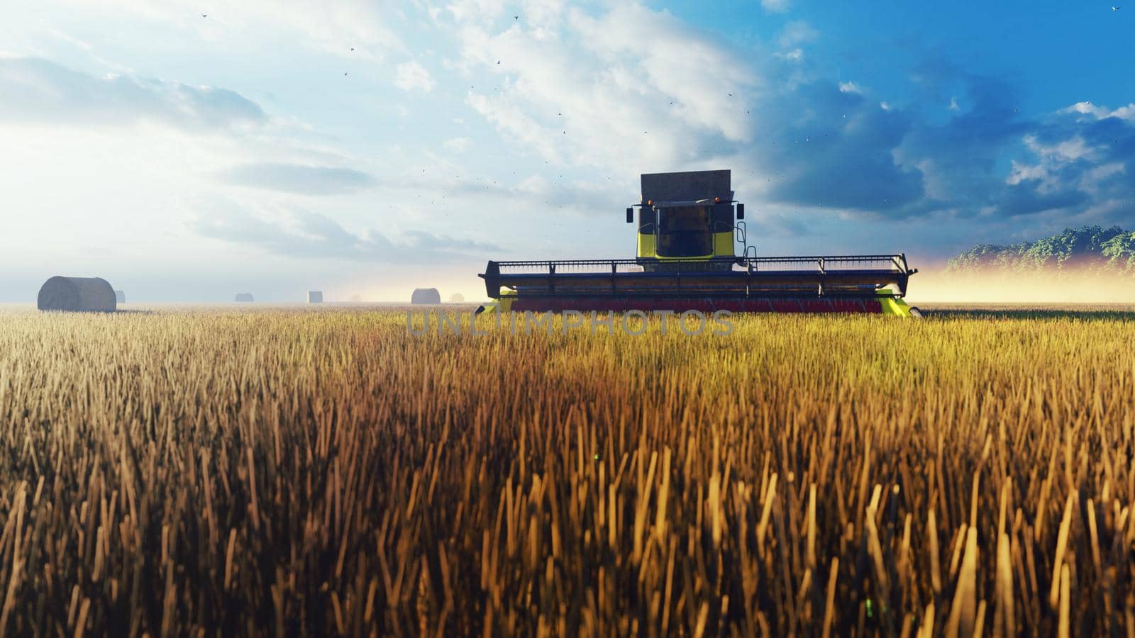 Combines work in the field in the early morning. Harvesting wheat in the summer with a combine harvester. The concept of agricultural activity. 3D Rendering by designprojects