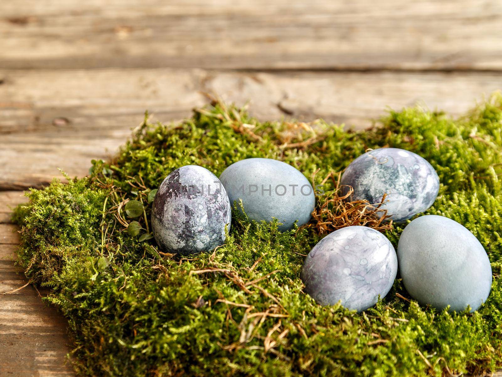 Painted chicken egg in green moss on brown wooden table. Selective focus