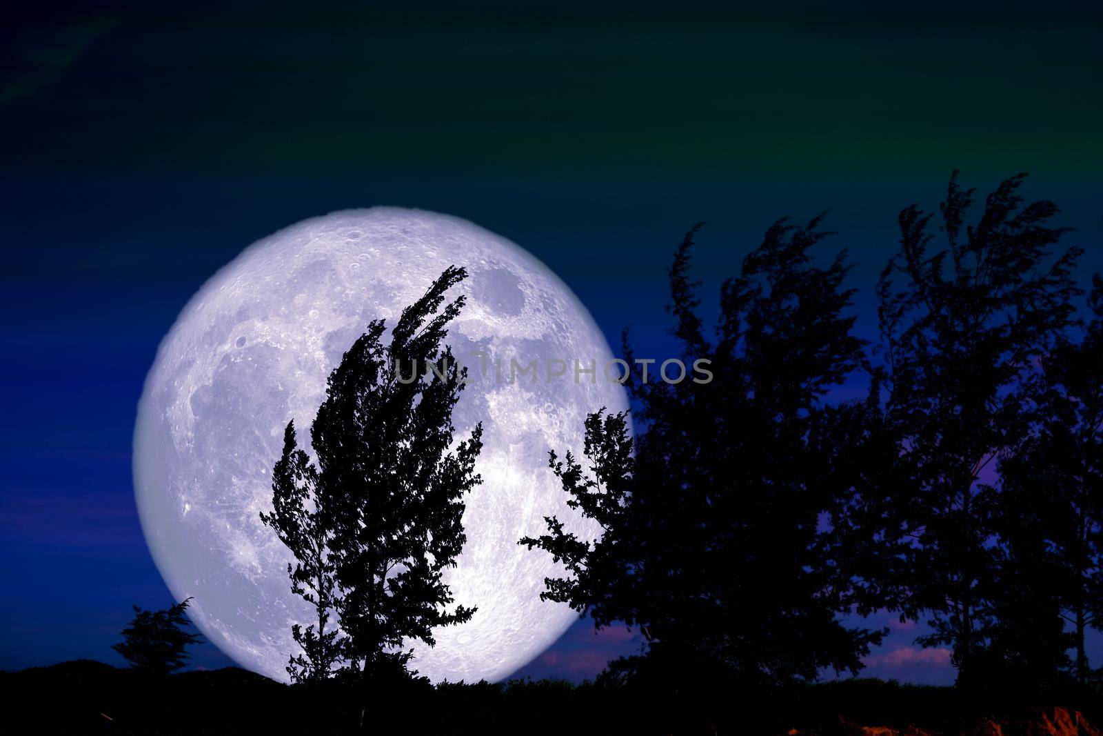 Full Worm Moon and silhouette tree in the field and night sky by Darkfox