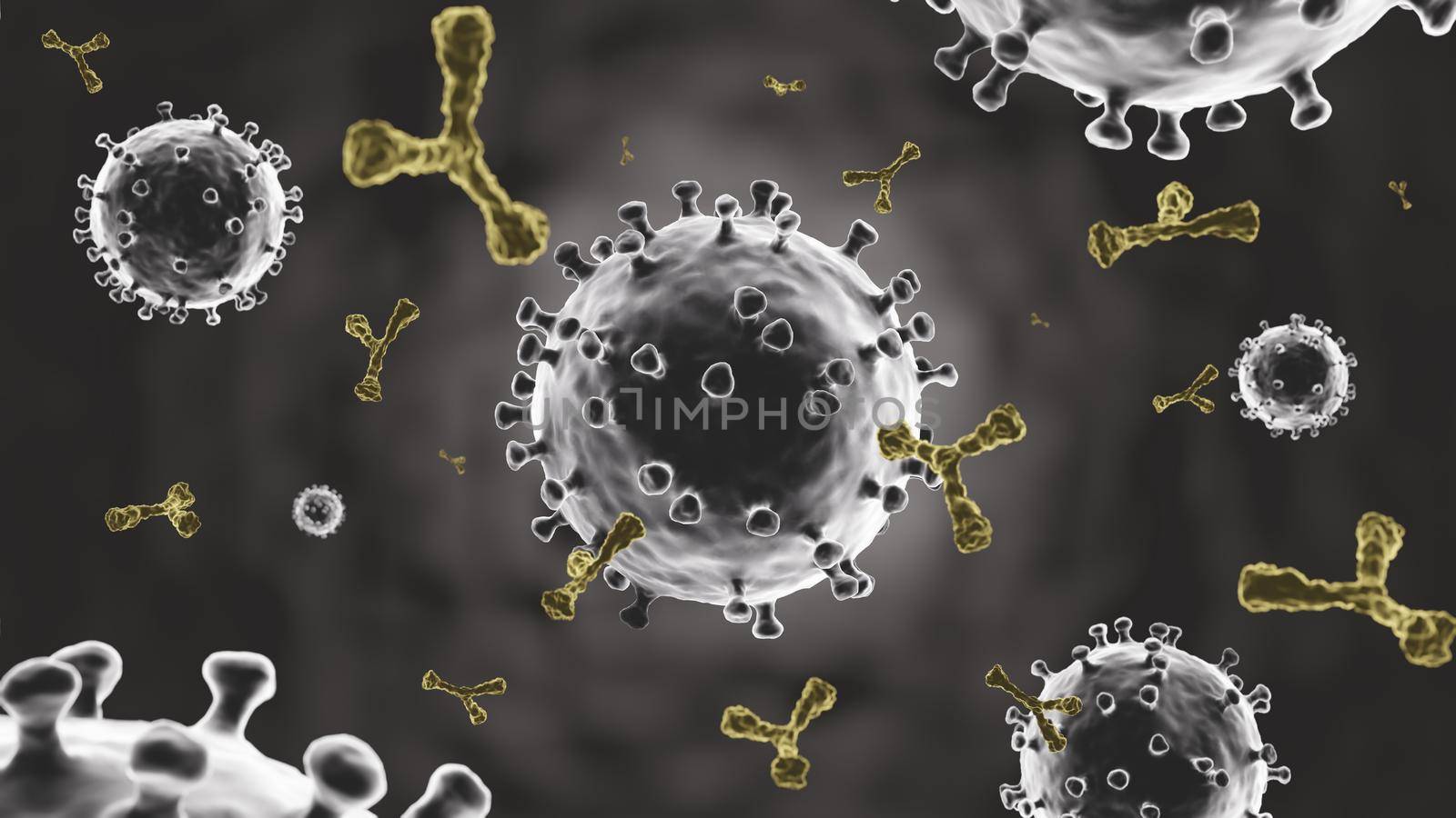Coronavirus and antibody molecule from antiviral vaccine injection . Dark vignette background . Microscopic view of virus cell . 3D rendering . by stockdevil