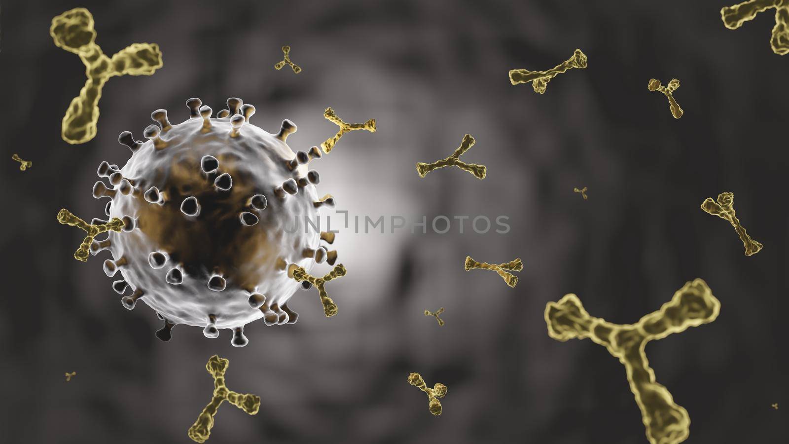 COVID-19 . Coronavirus and antibody molecule from antiviral vaccine injection . Human recieve vaccine and produce antibody for kill virus . Microscopic view of virus cell . 3D rendering . by stockdevil