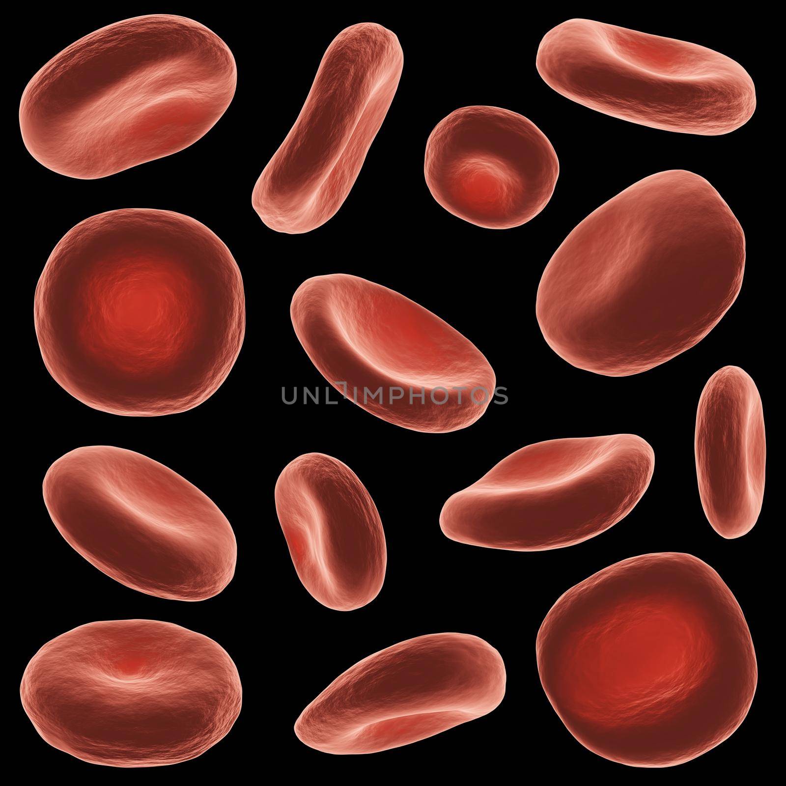 Red blood cells with high detailed surface . Set of different view and shape . Black isolated background . 3D rendering .