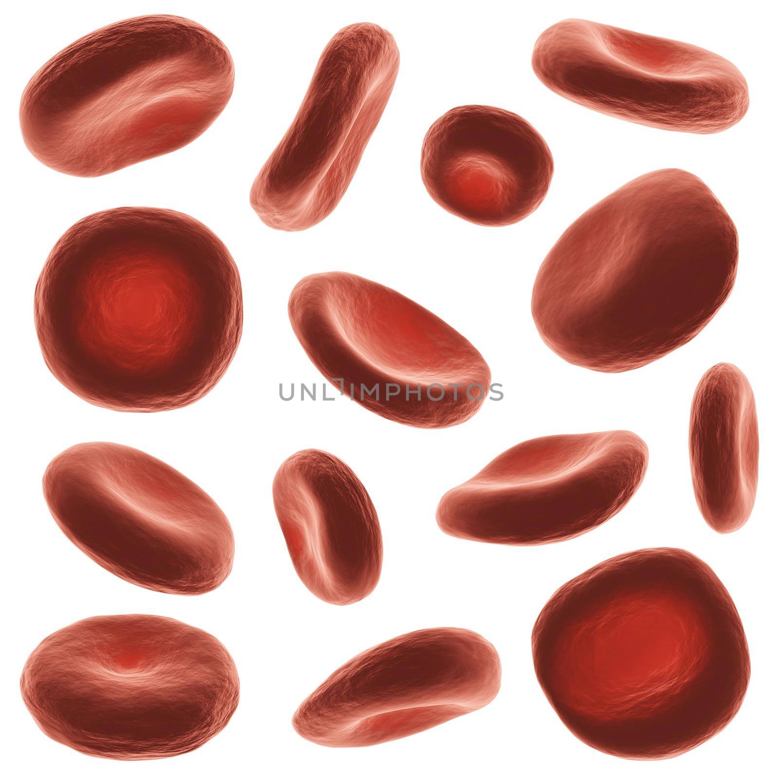 Red blood cells with high detailed surface . Set of different view and shape . White isolated background . 3D rendering .