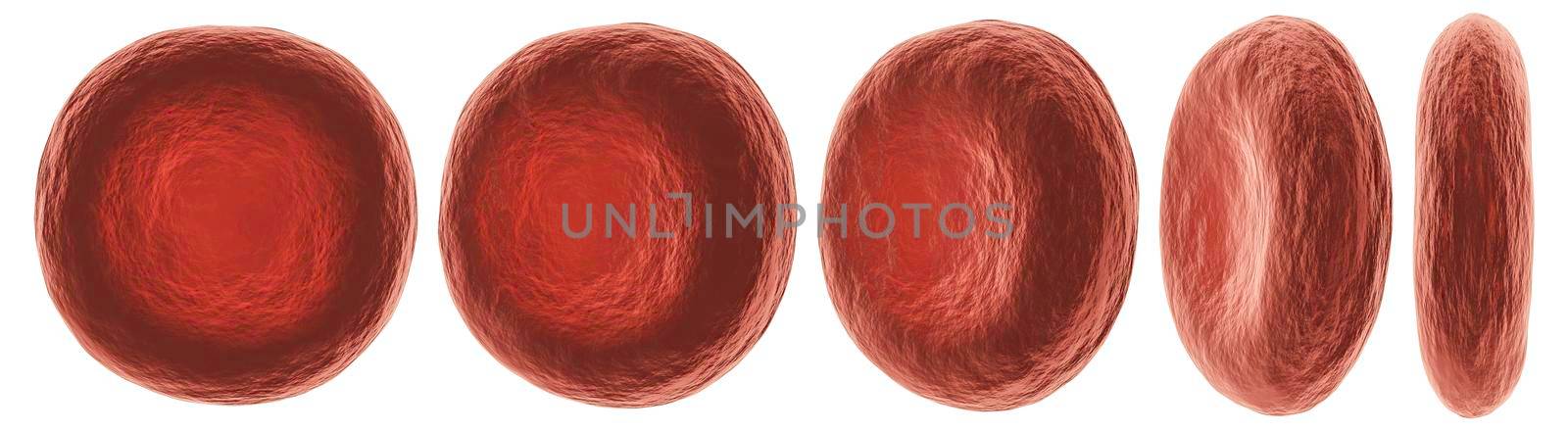 Red blood cells with different view . High detailed surface texture . White isolated background . 3D rendering . by stockdevil