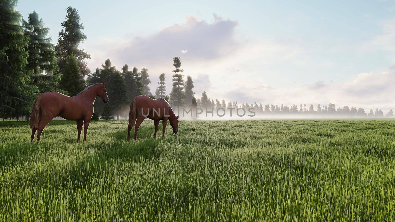 Beautiful wild horses graze in the meadow at dawn. The concept of horses. 3D Rendering by designprojects