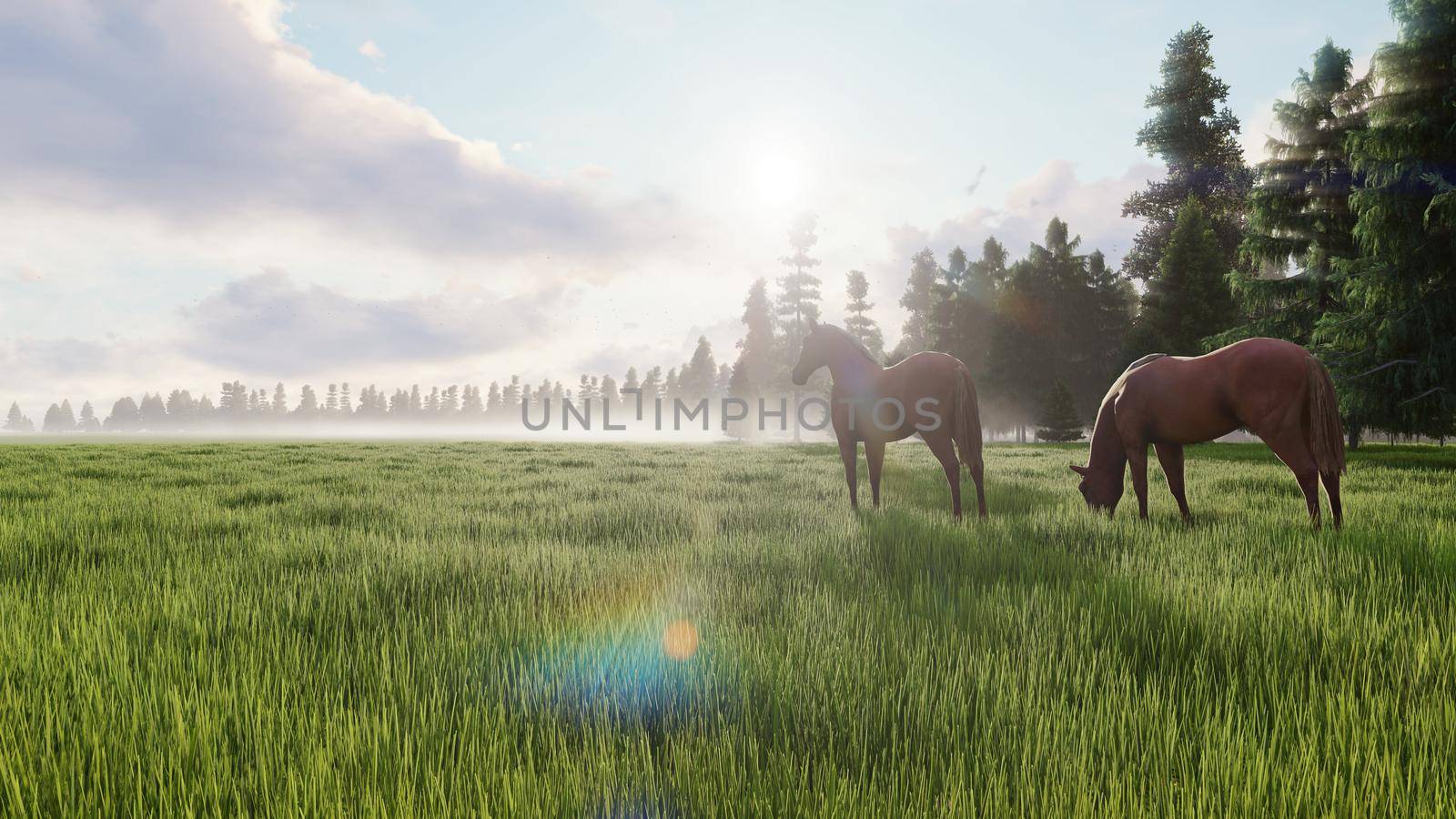 Beautiful wild horses graze in the meadow at dawn. The concept of horses. 3D Rendering by designprojects