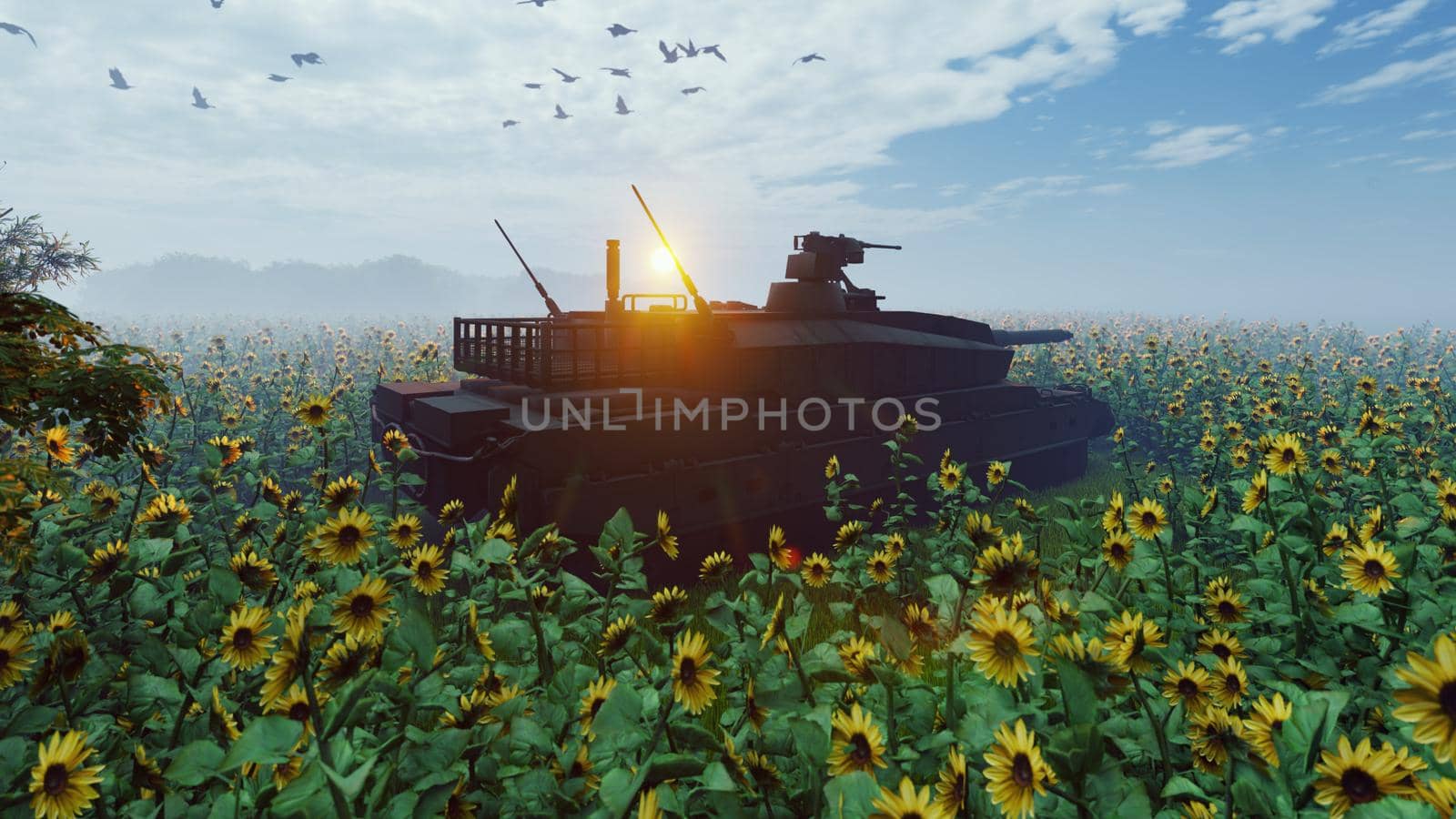 Military tank at sunset on a field in the middle of sunflowers.