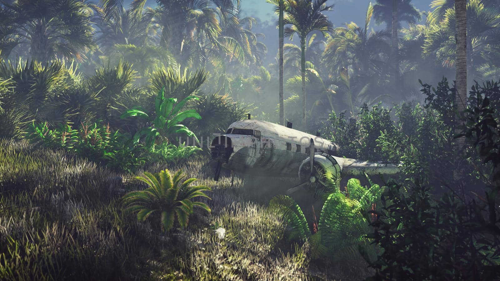 Wrecked plane lies in the jungle in the middle of palm trees and tropical vegetation.