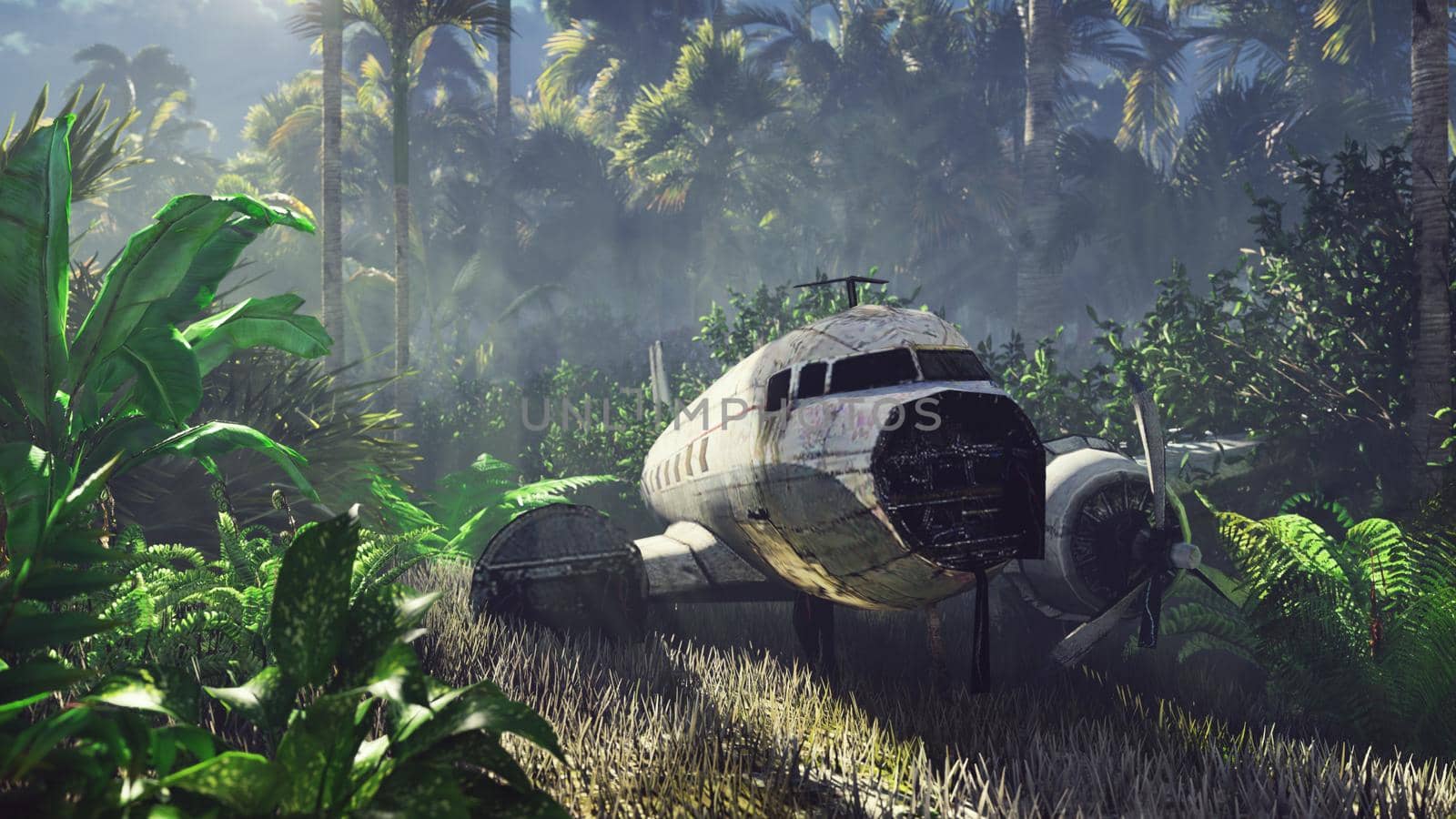 Wrecked plane lies in the jungle in the middle of palm trees and tropical vegetation.