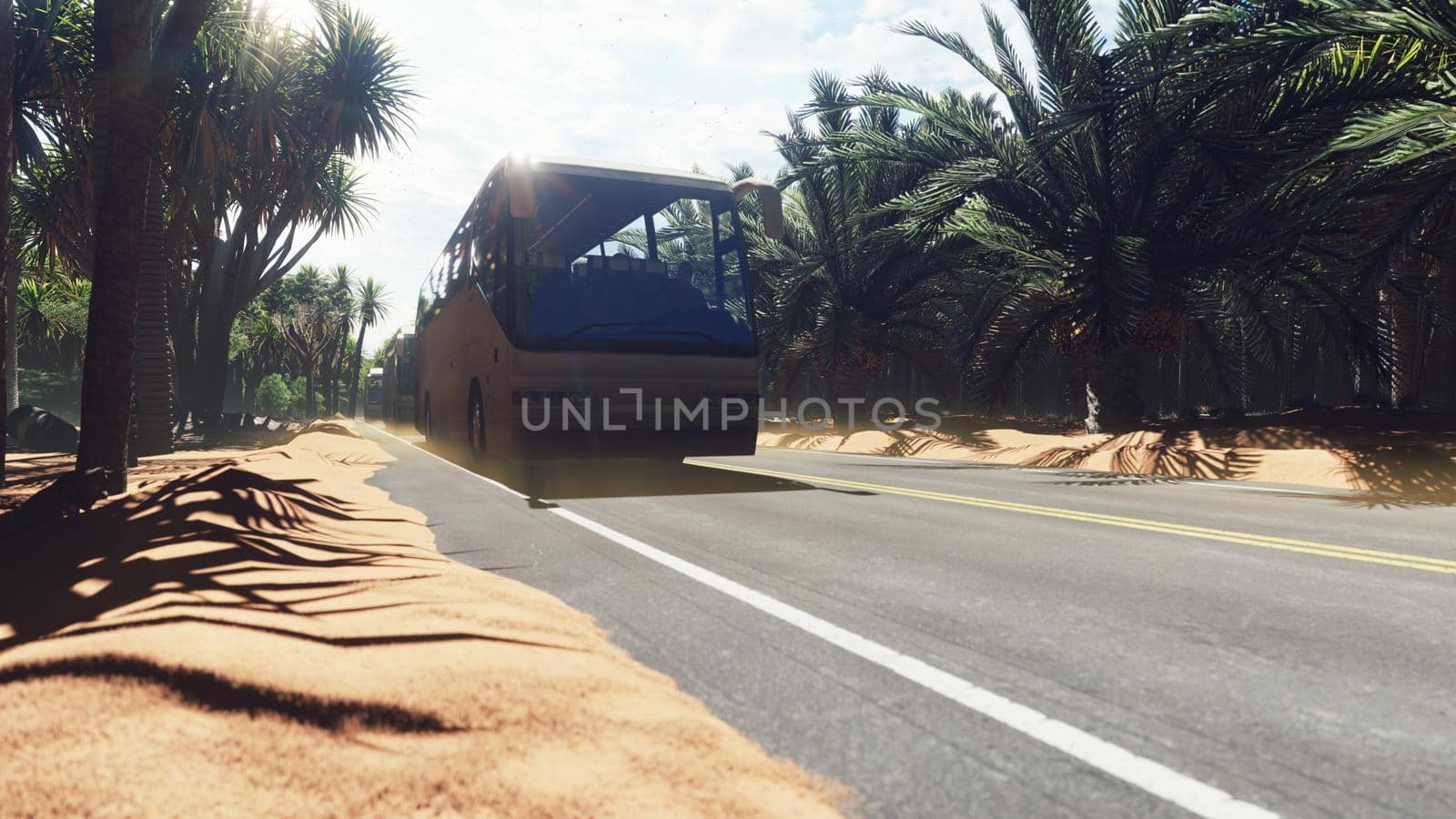 Tourist white buses on the highway in the tropics amidst Sands, dunes and palm trees. The concept of tourism and travel.