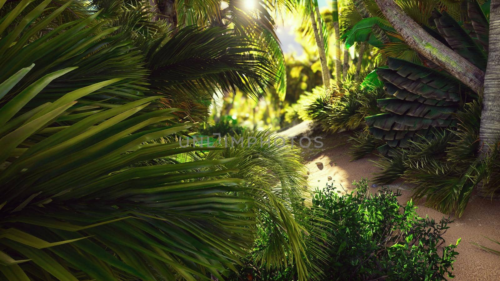 Flying through the green jungle.Green jungle trees and palm trees with blue sky and bright sun. 3D Rendering by designprojects