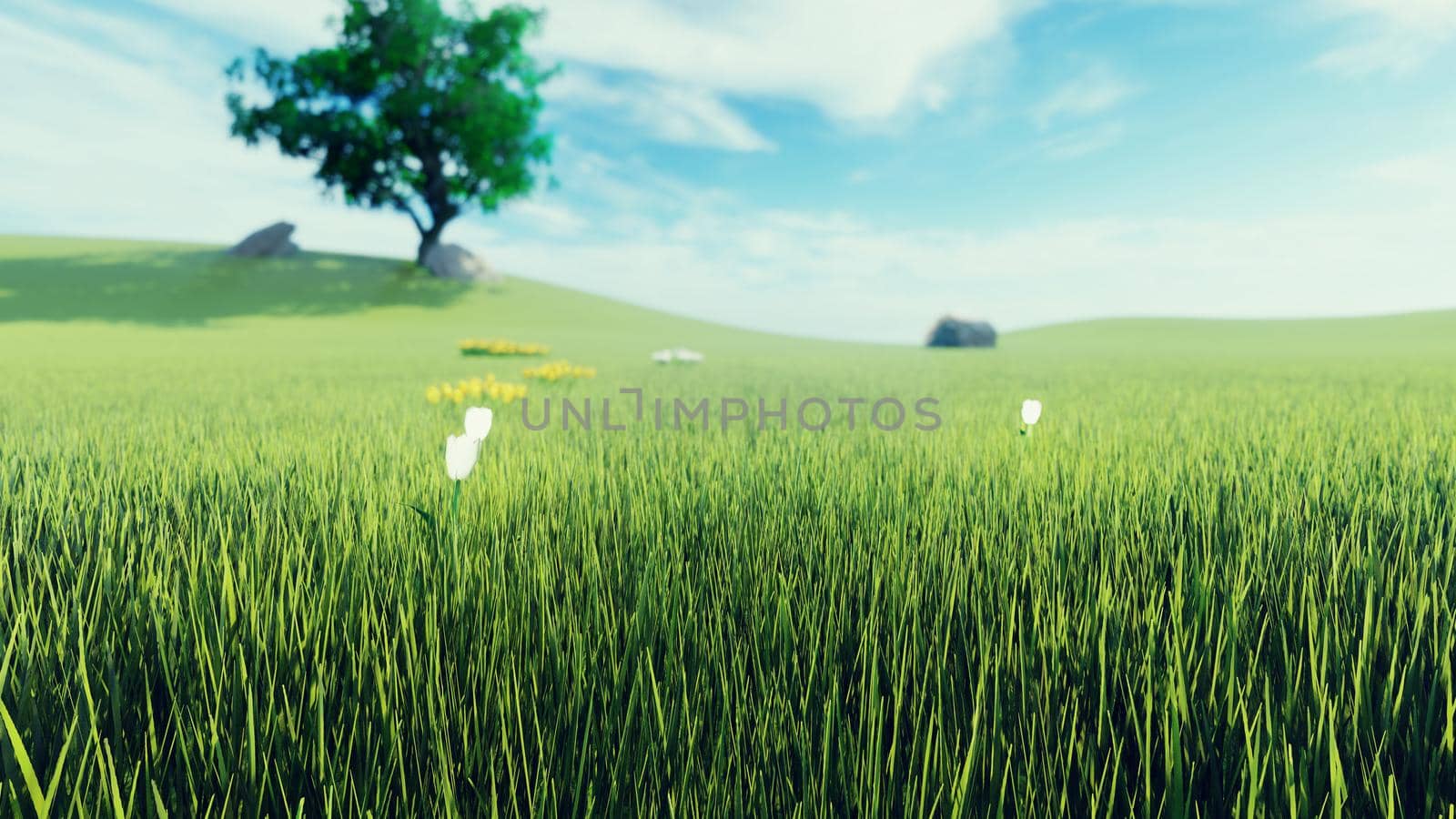 Beautiful of morning green grass, tree in the background, flowers, morning sun and clouds on blue. 3D Rendering by designprojects