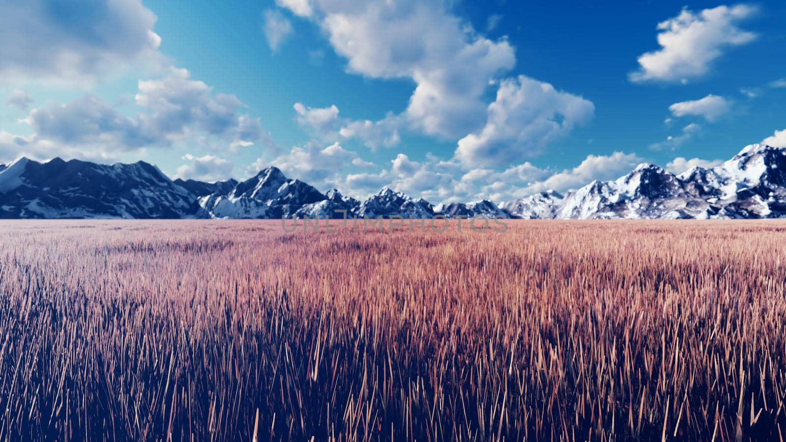 Mystical view, unusual grass, blue sky with clouds, morning sun and mountains in the distance. 3D Rendering by designprojects