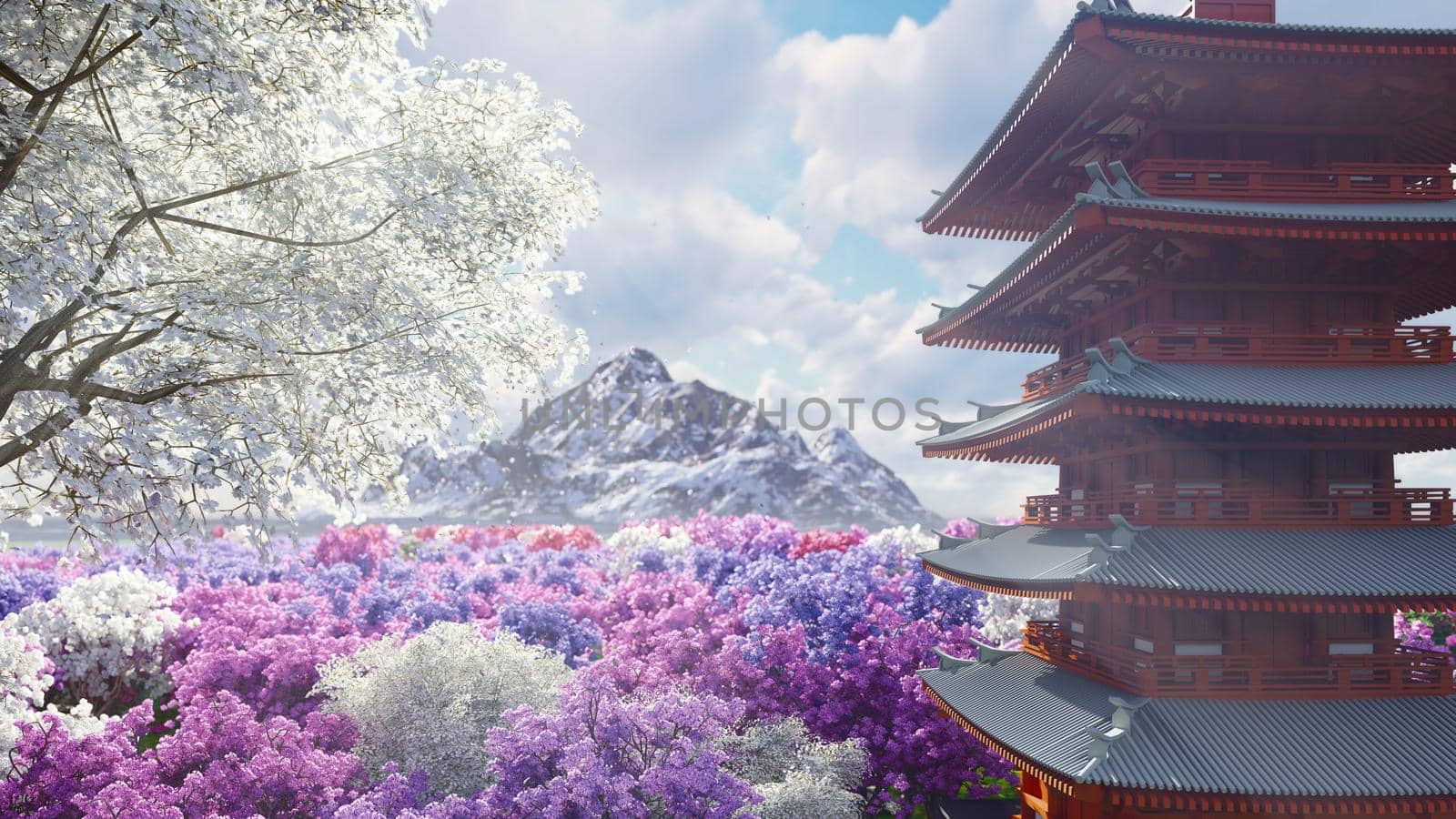 A sakura blooms in spring on the background of mountains, Japanese temple and fields of flowers. Travel and adventure, amazing spring landscape.