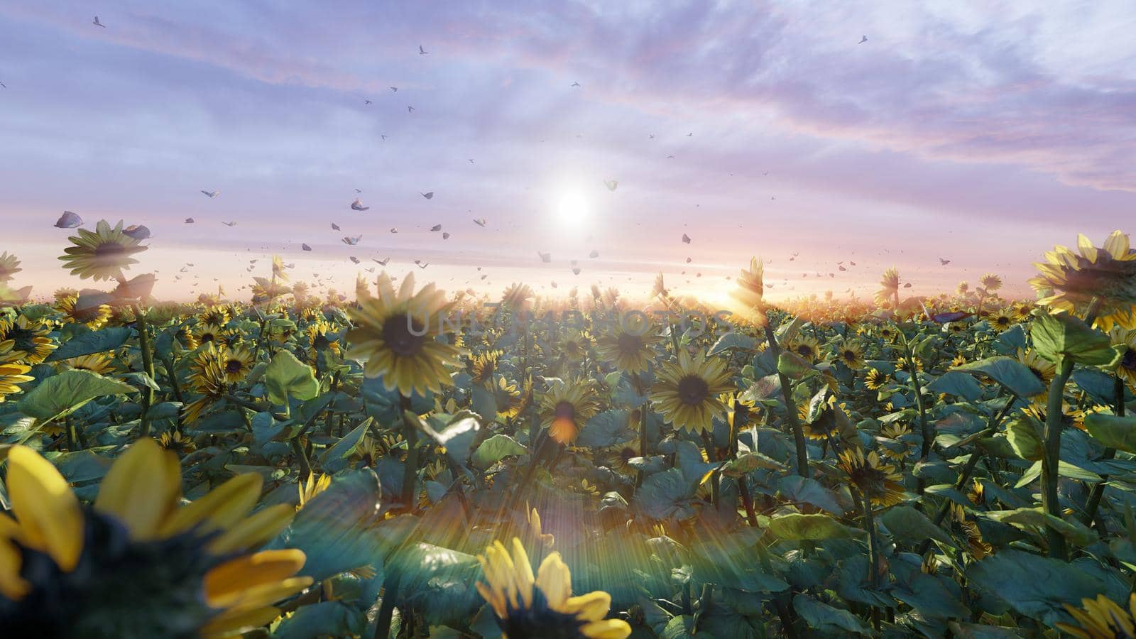 Beautiful Sunflowers in the field at sunrise. Field with sunflowers, butterflies and insects. 3D Rendering by designprojects