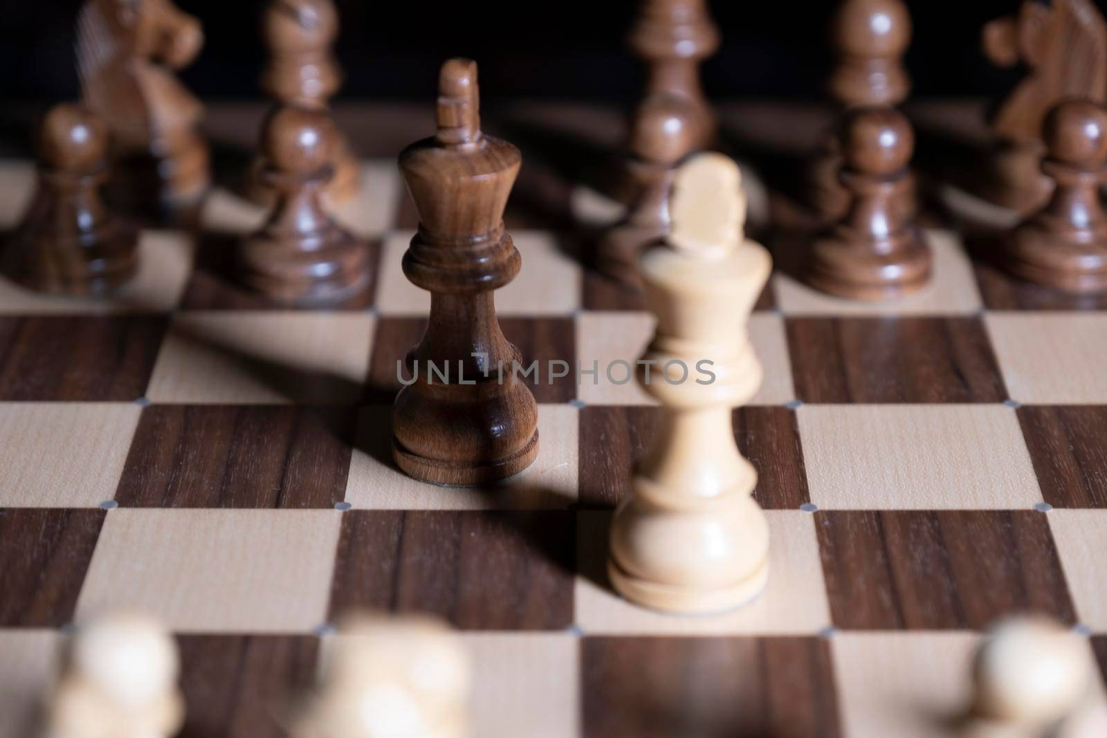 Chess game. White and black pieces are fighting for victory. The Central figure is in focus. The concept of teamwork.