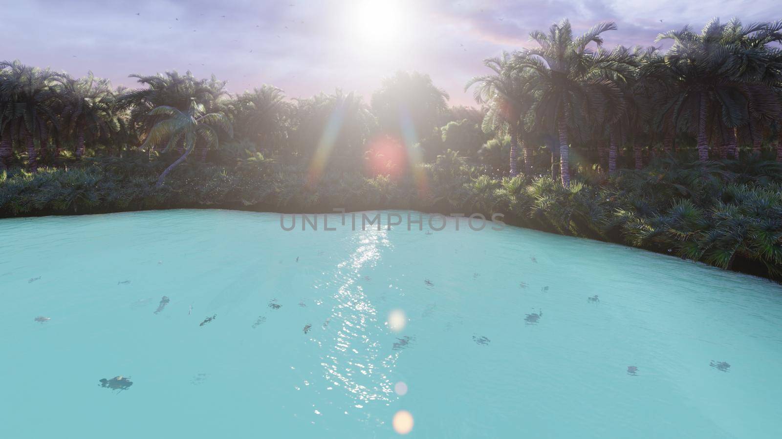 View of a beautiful lake with beautiful fishes on a tropical lost island. Beautiful nature, palm trees, insects, butterflies and birds, green grass and shining sunrise.