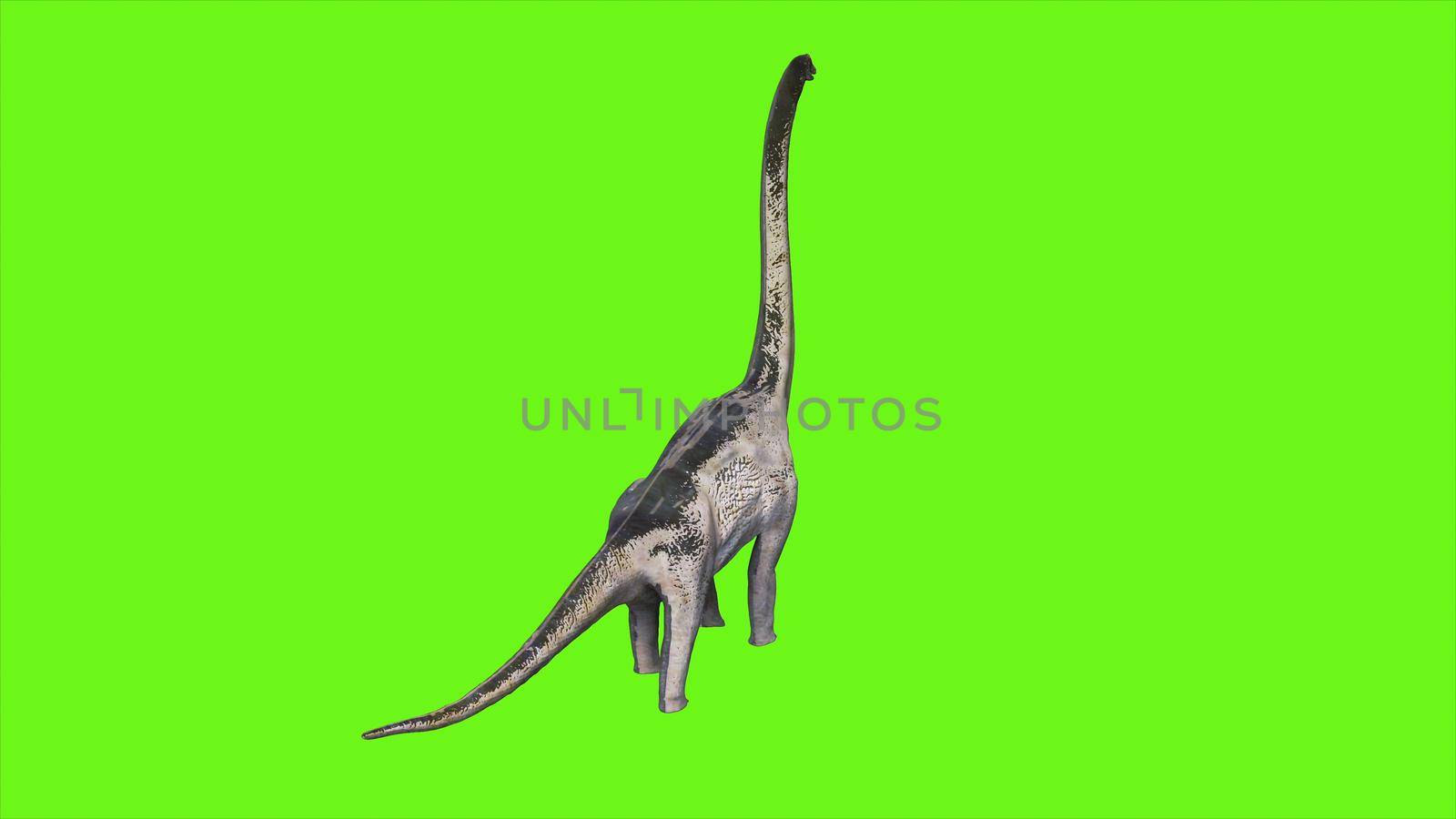 Dinosaur Braquiossauro on green screen.