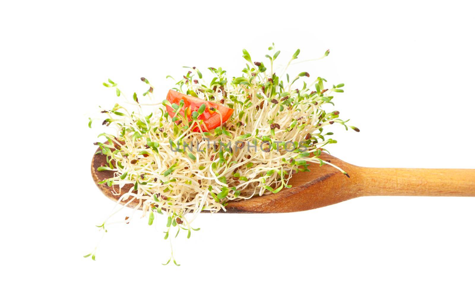 Alfalfa sprouts on a wooden spoon by SlayCer