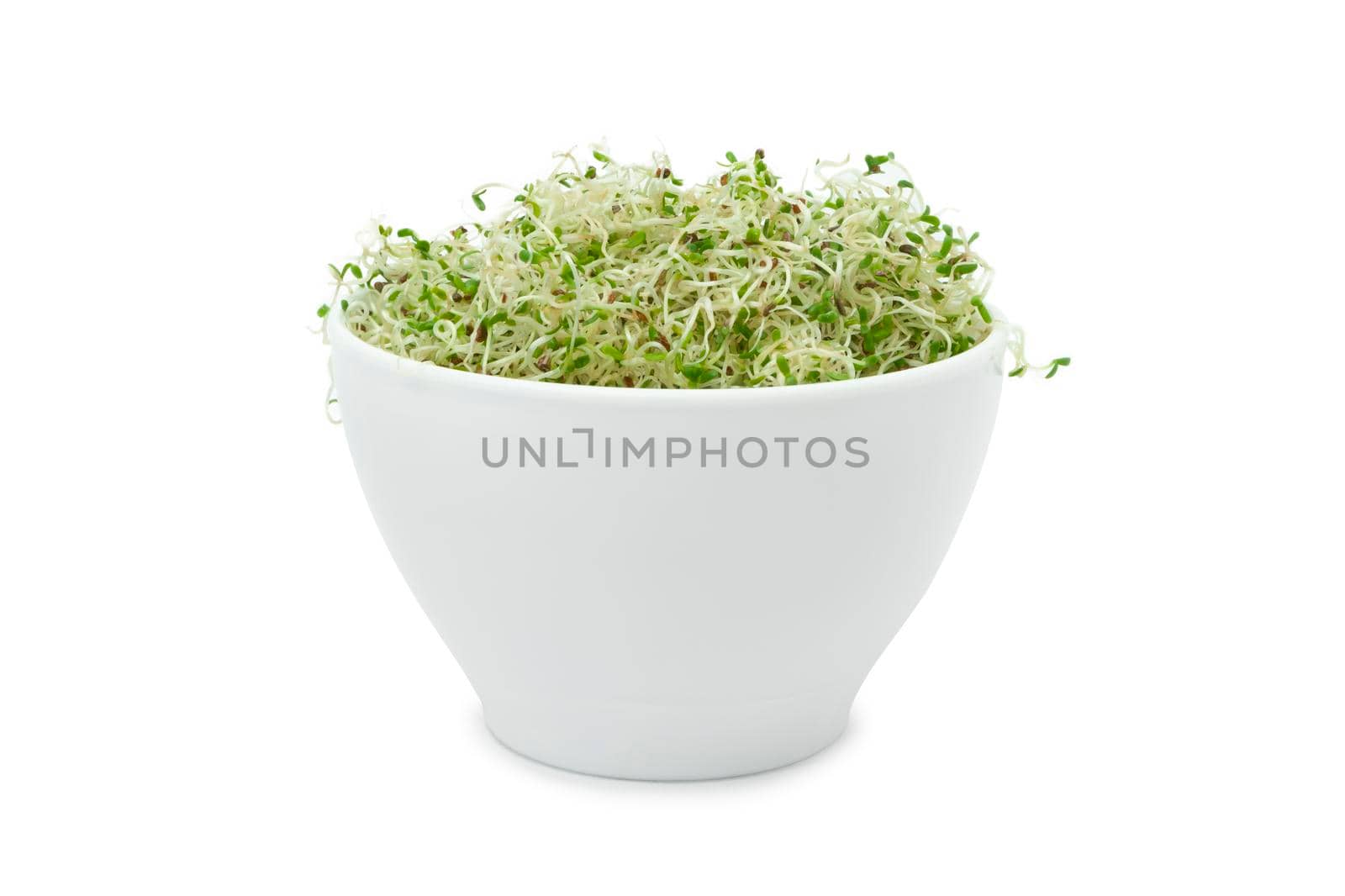 Organic young alfalfa sprouts in a cup on a white background by SlayCer