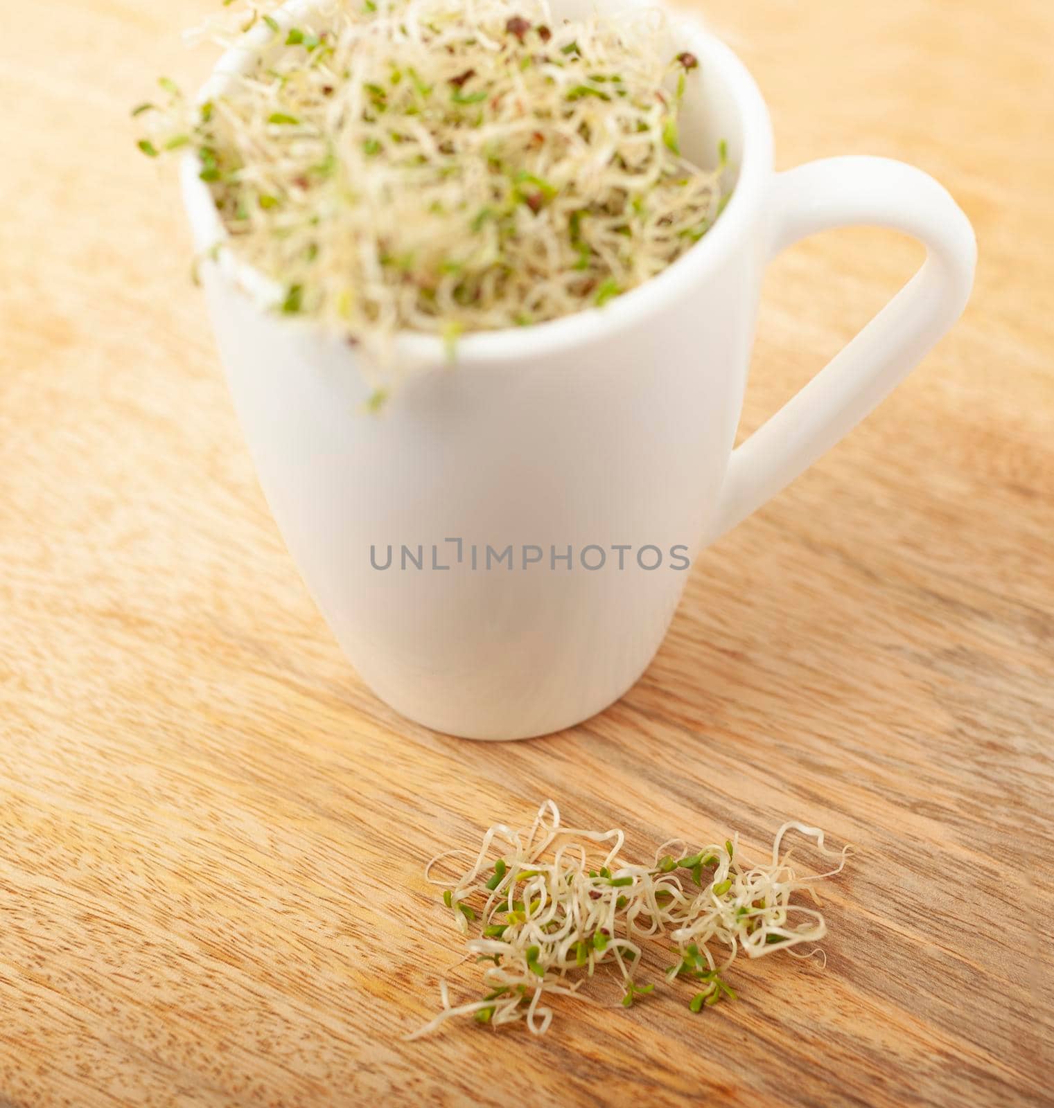 Organic young alfalfa sprouts in a cup on a wooden table background close up