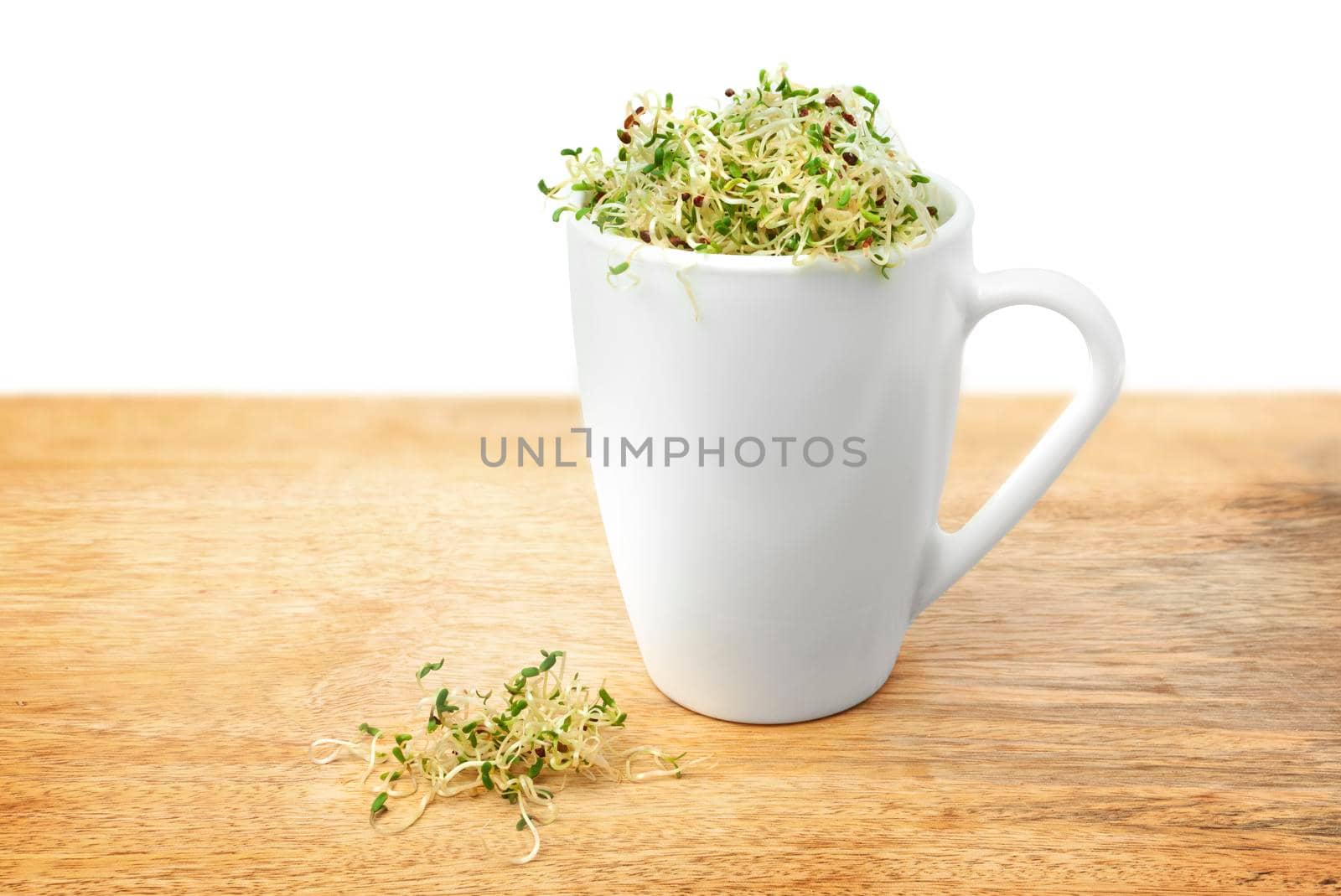 Organic young alfalfa sprouts in a cup on a wooden table background close up