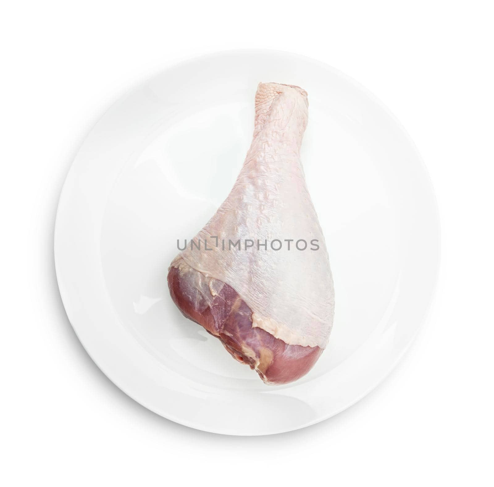 One RAW turkey leg on a white plate by SlayCer
