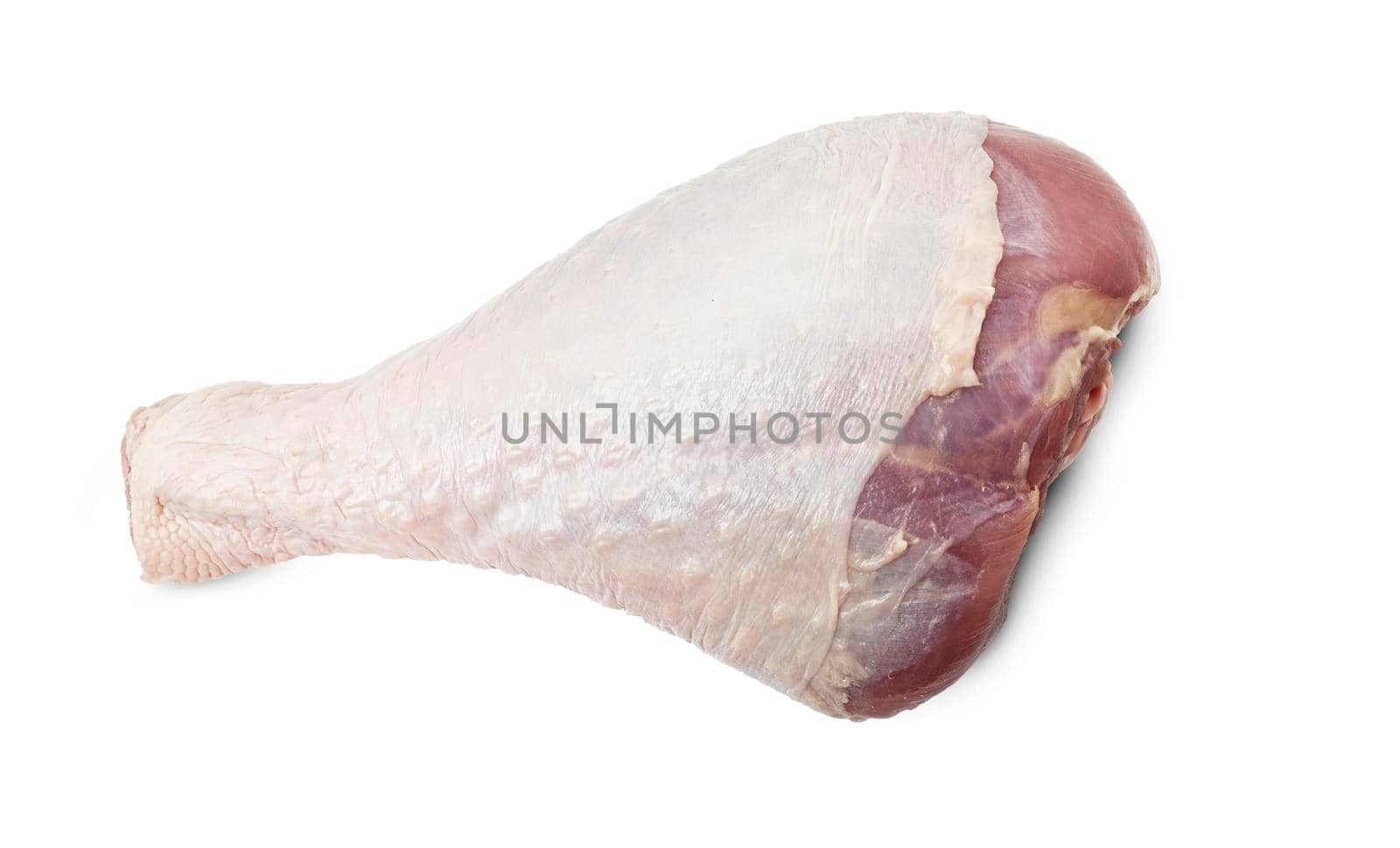 Raw turkey drumstick or leg isolated on white. With clipping path