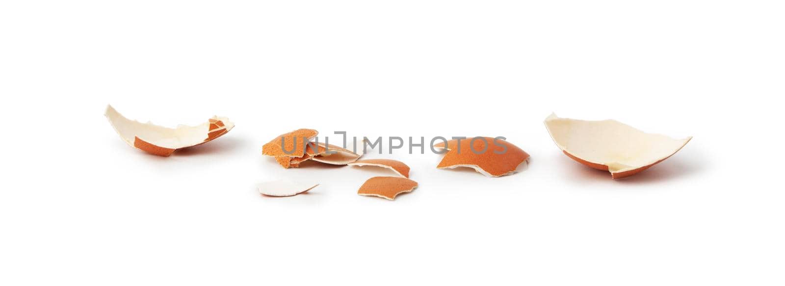 remains of eggs shell closeup isolated on white background