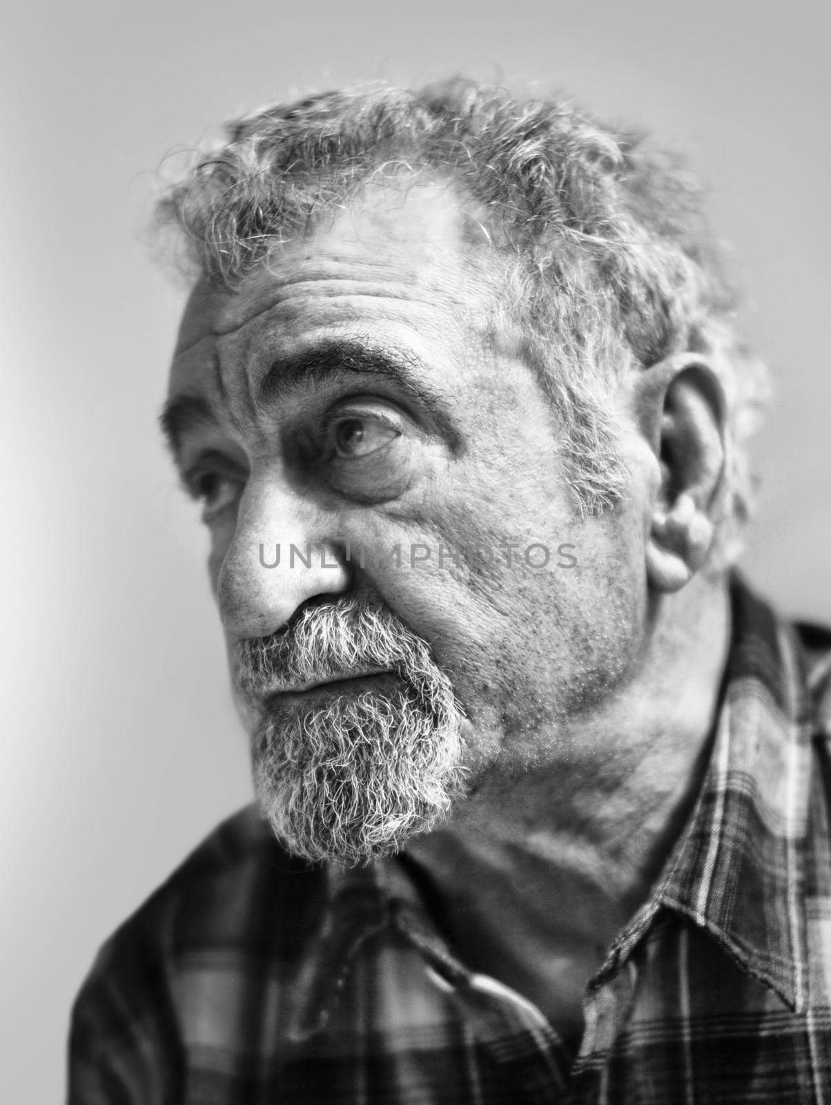 Portrait of aged caucasian man with a gray beard on a white background