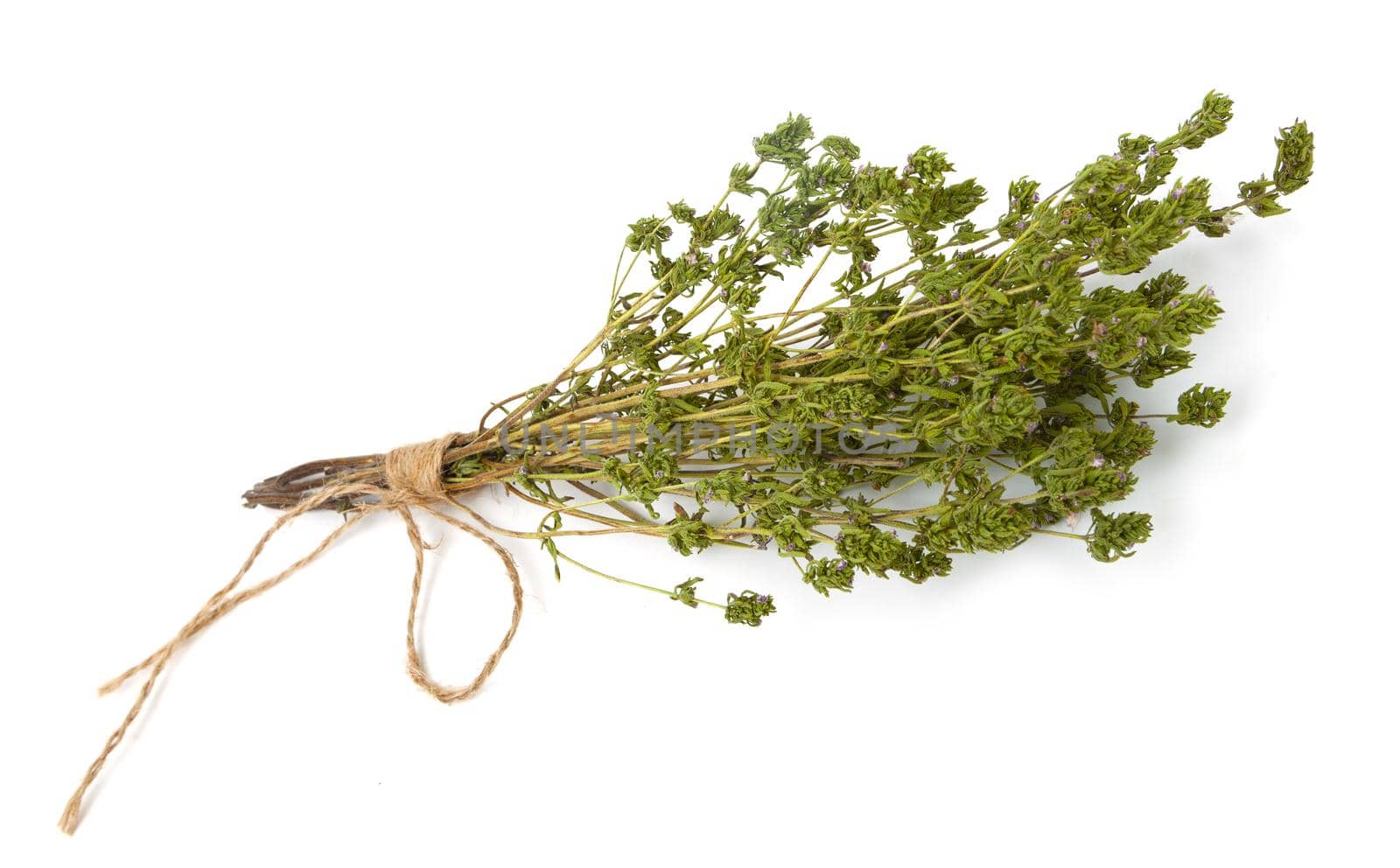 Dry thyme pile and plants with stalks isolated on white background