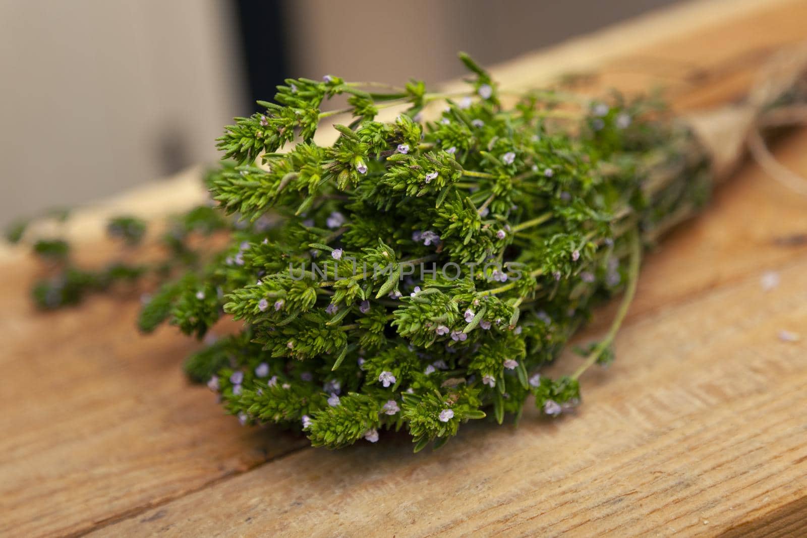 Thyme Bush young juicy fresh Breckland wild thyme with lilac flowers and green leaves on a wooden table close-up. Blurred background environment