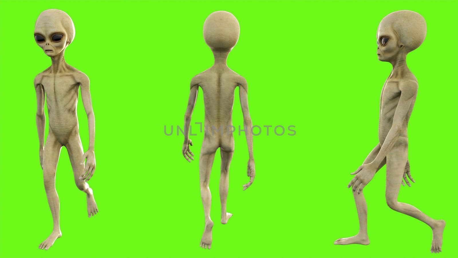 Alien walks on green screen. 3D rendering by designprojects