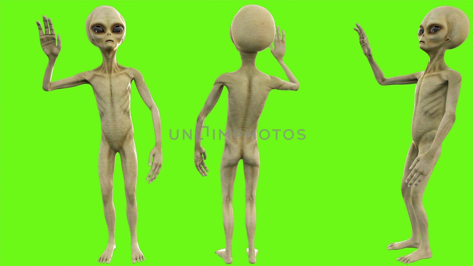 Alien salute on green screen. 3D rendering by designprojects