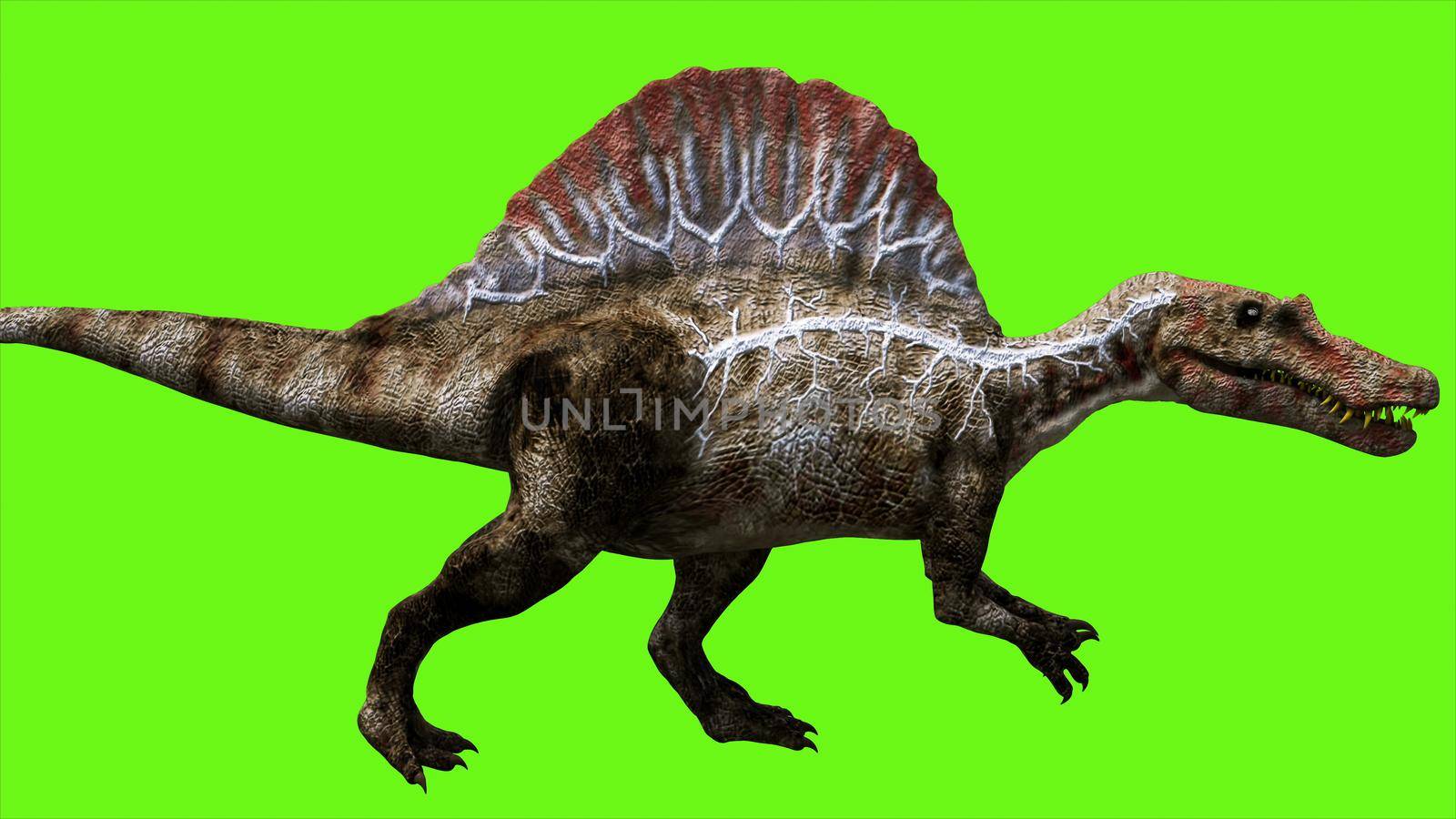 Dinosaur on green screen. GI realistic render.