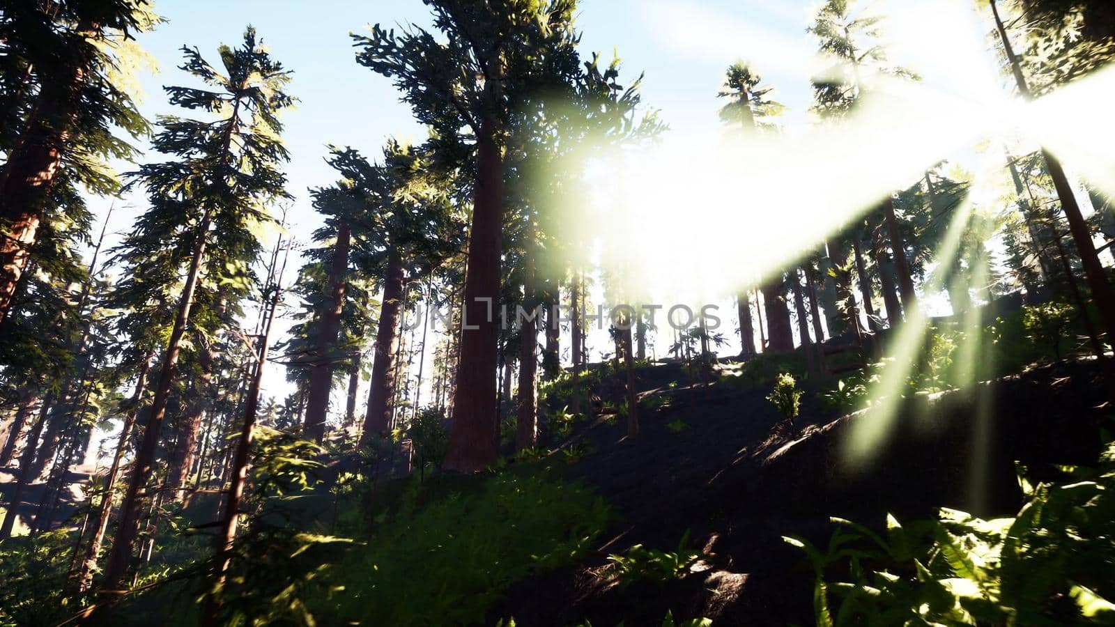 Flying through the beautiful forest trees 3D rendering by designprojects