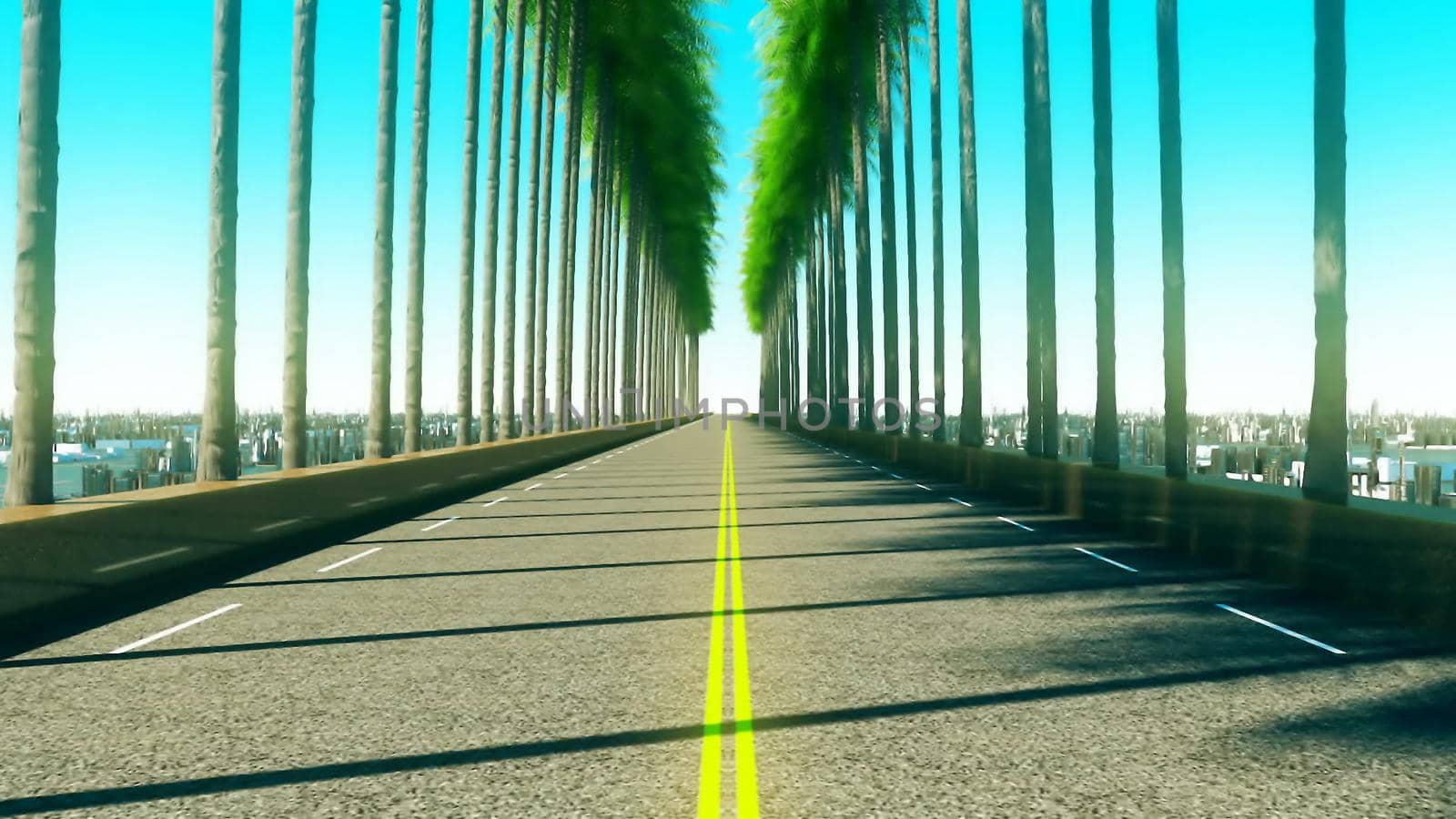 Driving through palm trees on an empty road in the afternoon