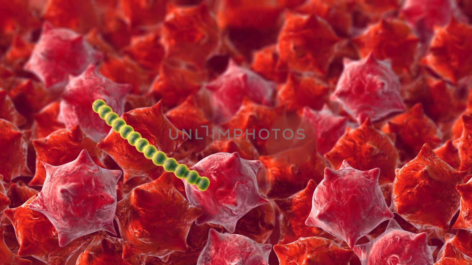 Bacteria cells, science 3D rendering by designprojects