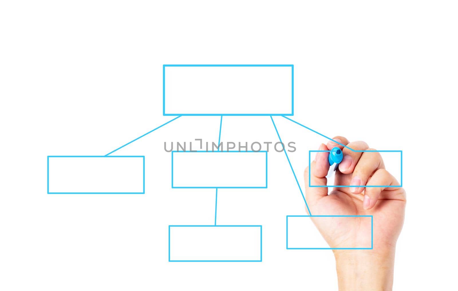 Hand drawing empty diagram with blue marker isolated on white background