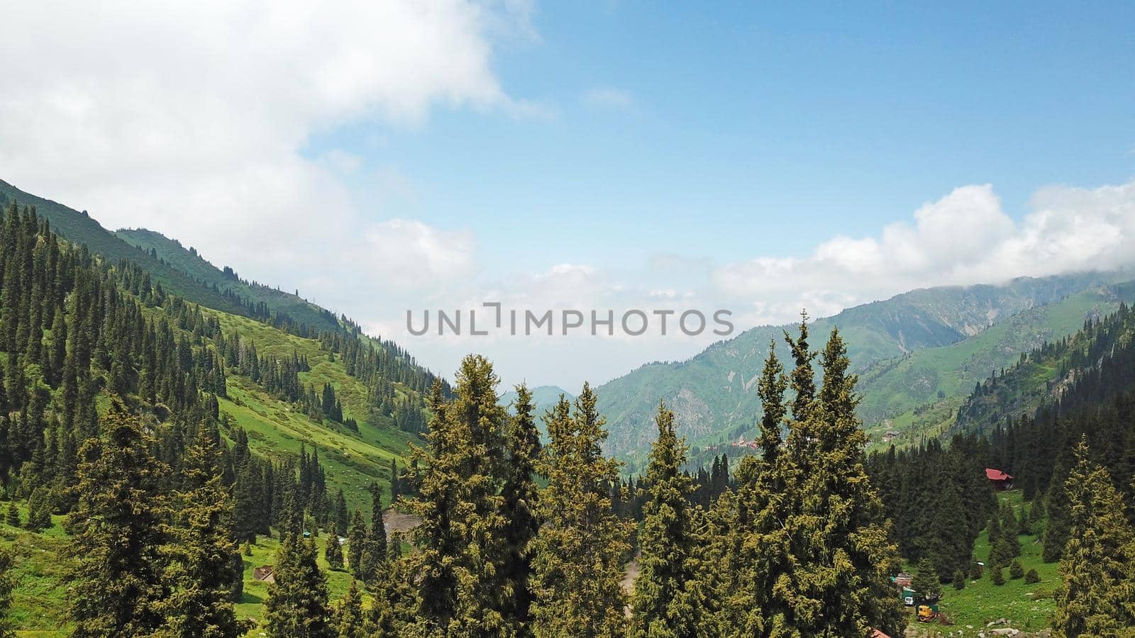 Green gorge with forest in the mountains. Aerial view of green hills, coniferous trees, road, river and trail. Steep cliffs with large rocks. The gorge is foggy, dripping rain in places. Kazakhstan.