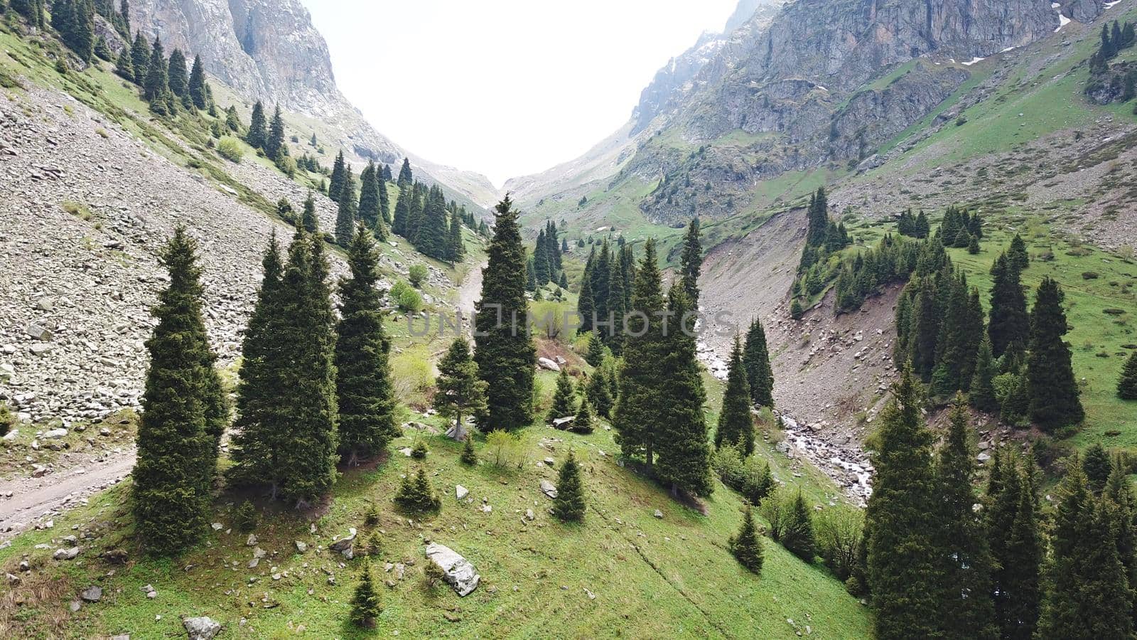 Green gorge with forest in the mountains. Aerial view of green hills, coniferous trees, road, river and trail. Steep cliffs with large rocks. The gorge is foggy, dripping rain in places. Kazakhstan.