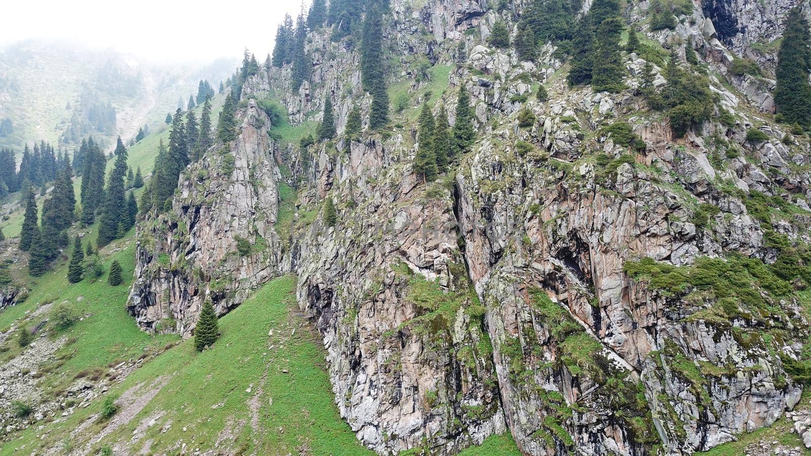 Green gorge with forest in the mountains. Aerial view of green hills, coniferous trees, road, river and trail. Steep cliffs with large rocks. The gorge is foggy, dripping rain in places. Kazakhstan.