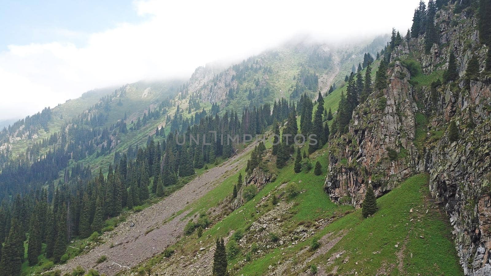 Green gorge with forest in the mountains. Aerial view of green hills, coniferous trees, road, river and trail. Steep cliffs with large rocks. The gorge is foggy, dripping rain in places. Kazakhstan.