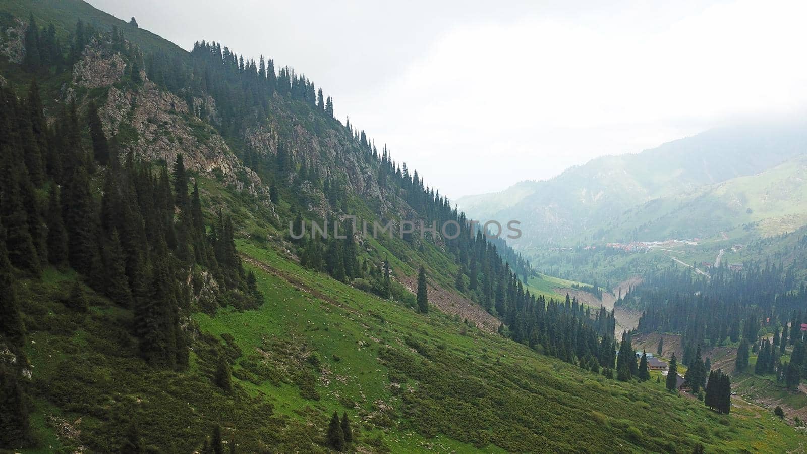 Green gorge with forest in the mountains. Aerial view of green hills, coniferous trees, road, river and trail. Steep cliffs with large rocks. The gorge is foggy, dripping rain in places. Kazakhstan.