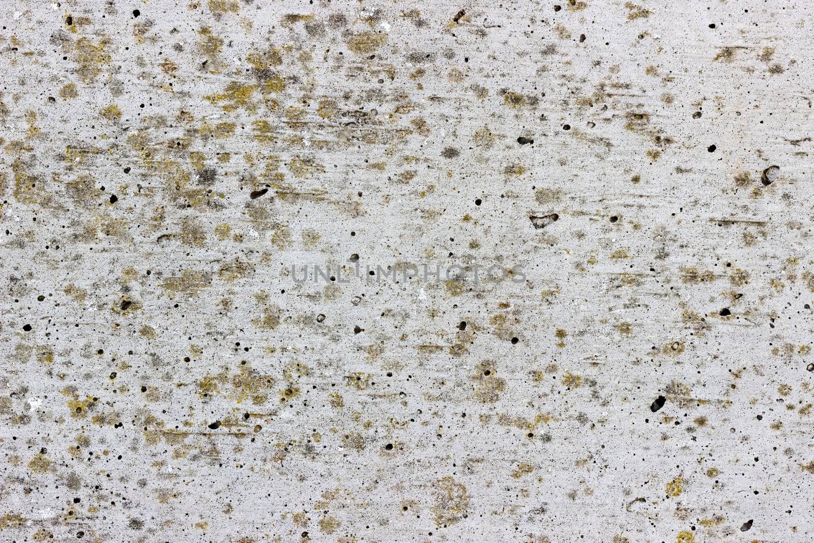 A flat grey concrete surface. The surface is textured and covered in light brown spots of lichen.