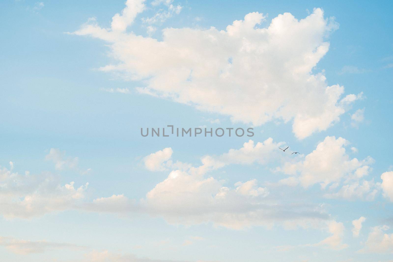 blue sky with white clouds and soaring black birds by Andreua